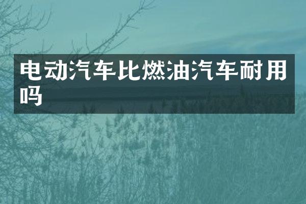 电动汽车比燃油汽车耐用吗