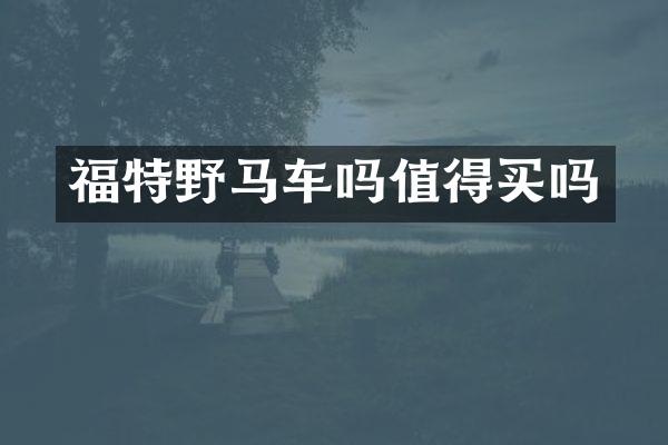 福特野马车吗值得买吗