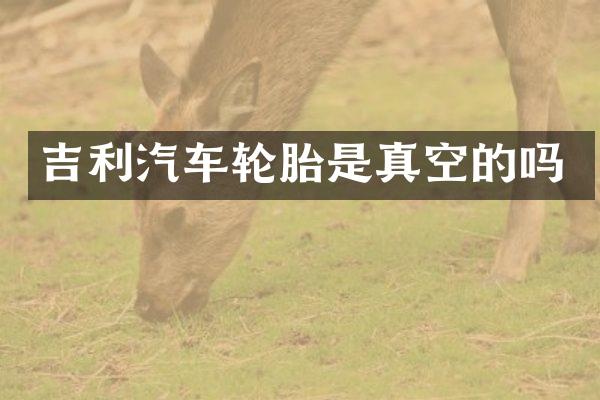 吉利汽车轮胎是真空的吗