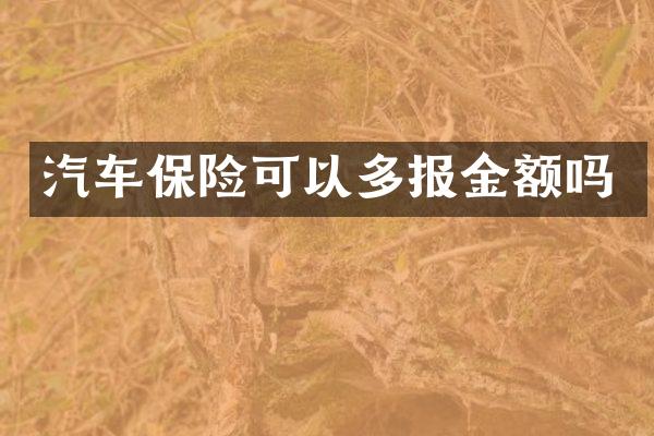 汽车保险可以多报金额吗
