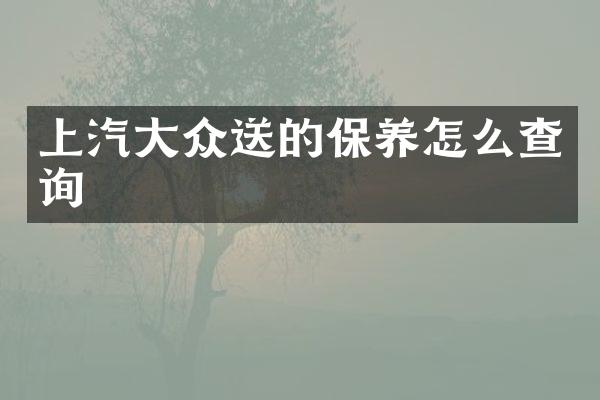 上汽大众送的保养怎么查询