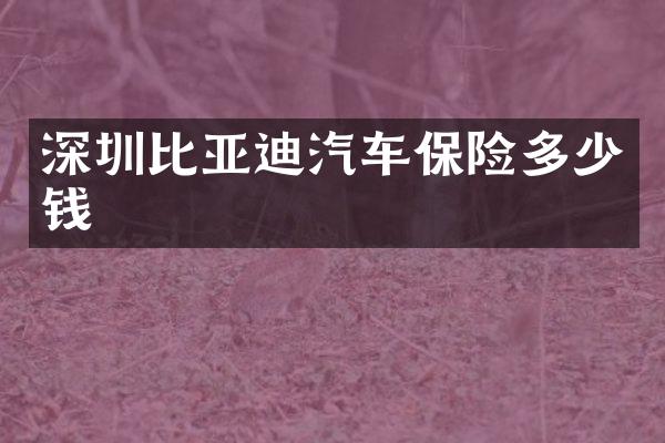 深圳比亚迪汽车保险多少钱
