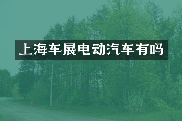 上海车展电动汽车有吗