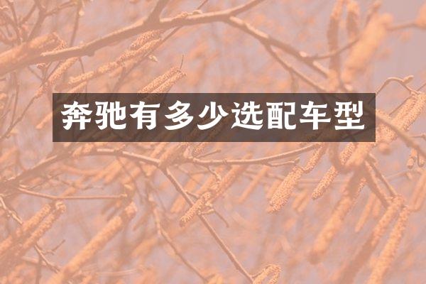 奔驰有多少选配车型
