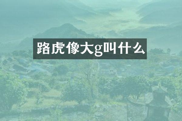 路虎像大g叫什么