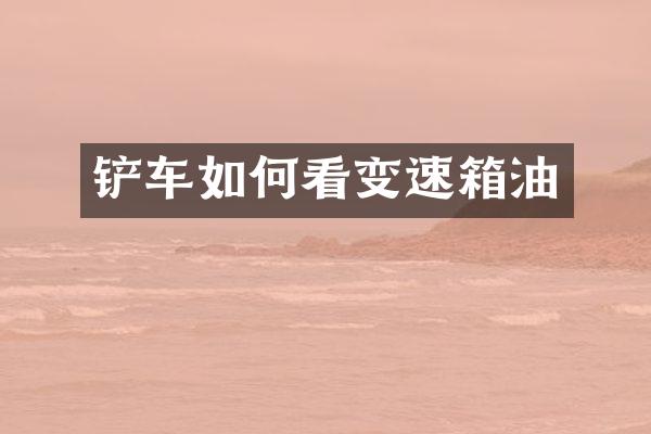 铲车如何看变速箱油