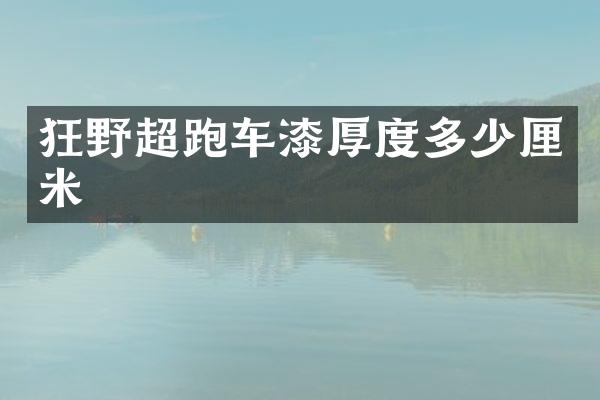 狂野超跑车漆厚度多少厘米