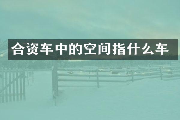 合资车中的空间指什么车