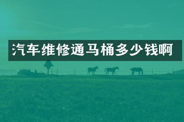汽车维修通马桶多少钱啊