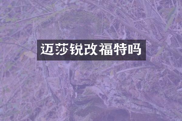 迈莎锐改福特吗