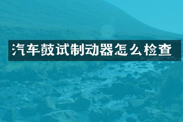 汽车鼓试制动器怎么检查