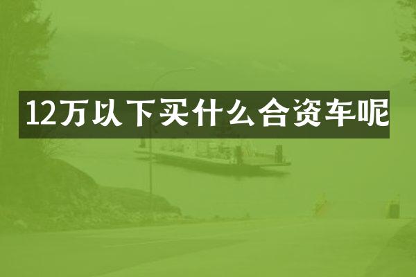 12万以下合资车呢