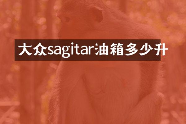 大众sagitar油箱多少升