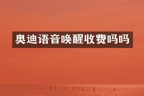 奥迪语音唤醒收费吗吗
