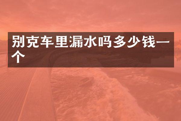 别克车里漏水吗多少钱一个