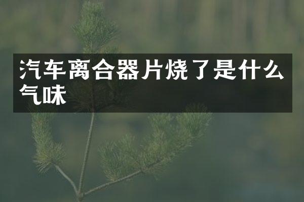 汽车离合器片烧了是什么气味