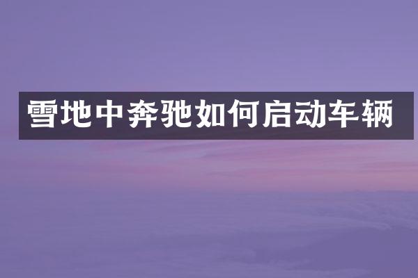 雪地中奔驰如何启动车辆