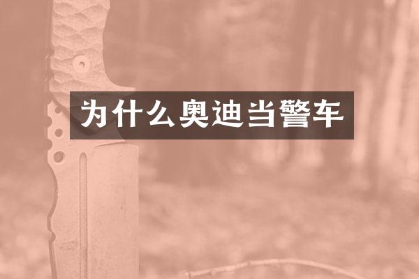 为什么奥迪当警车