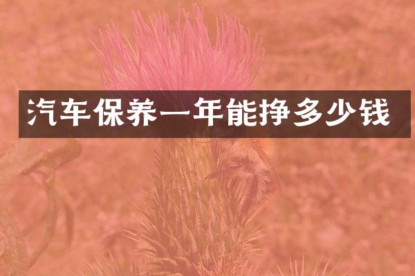 汽车保养一年能挣多少钱
