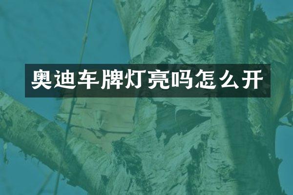 奥迪车牌灯亮吗怎么开