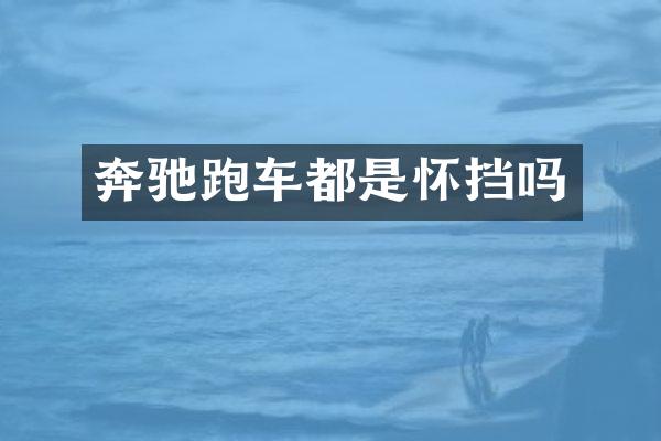 奔驰跑车都是怀挡吗