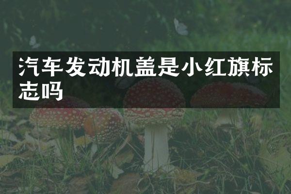 汽车发动机盖是小红旗标志吗