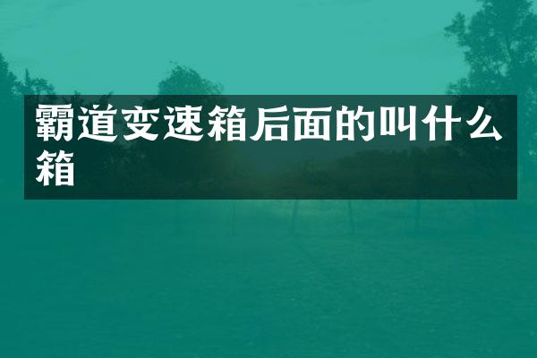 霸道变速箱后面的叫什么箱