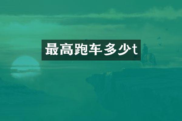 最高跑车多少t