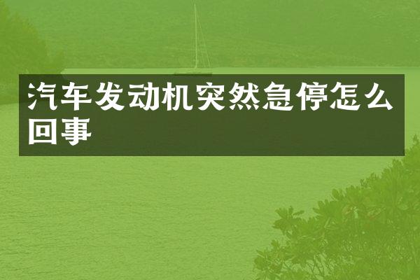 汽车发动机突然急停怎么回事