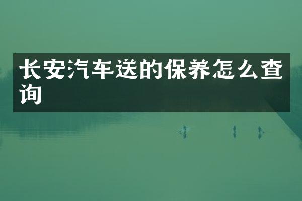 长安汽车送的保养怎么查询