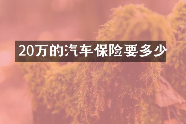 20万的汽车保险要多少