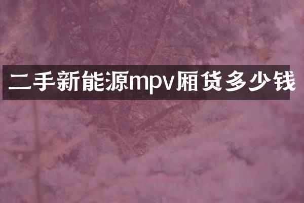 二手新能源mpv厢货多少钱