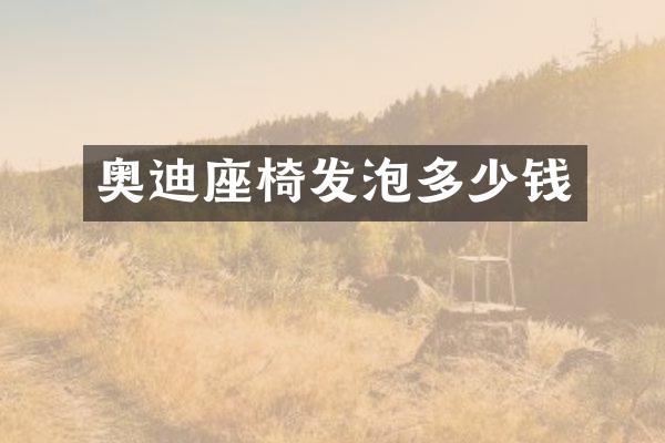 奥迪座椅发泡多少钱