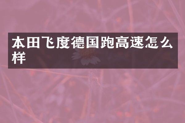 本田飞度德国跑高速怎么样