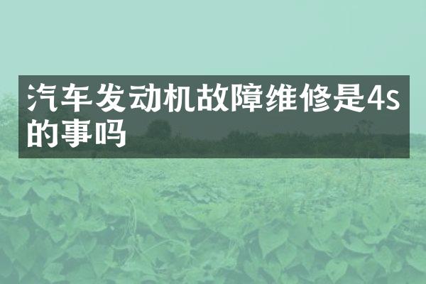 汽车发动机故障维修是4s店的事吗
