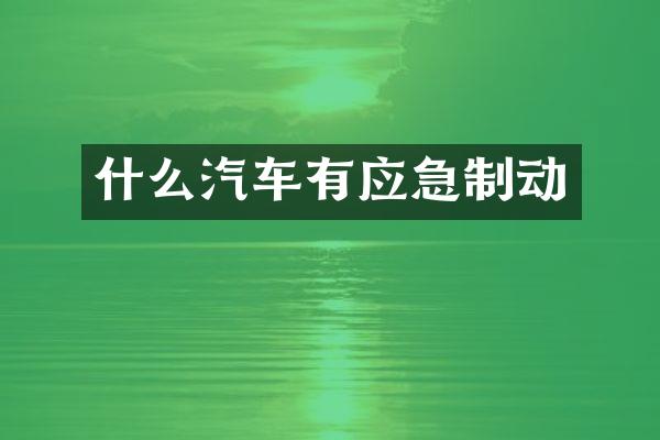 什么汽车有应急制动