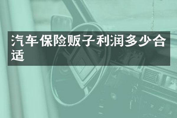 汽车保险贩子利润多少合适