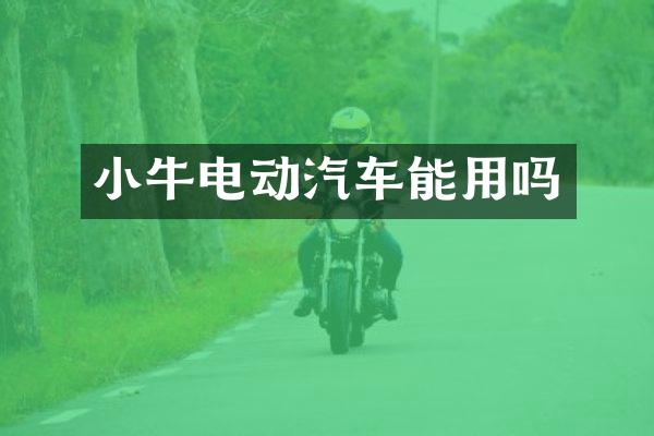 小牛电动汽车能用吗