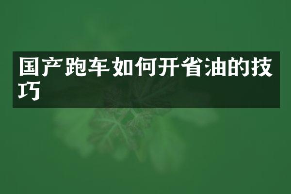 国产跑车如何开省油的技巧