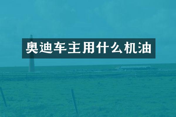 奥迪车主用什么机油