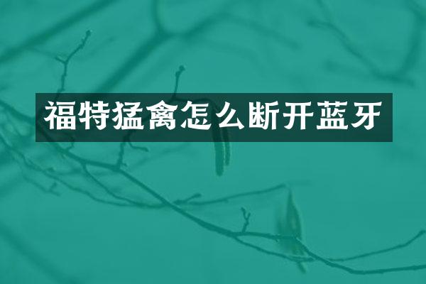 福特猛禽怎么断开蓝牙