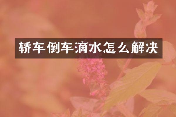 轿车倒车滴水怎么解决