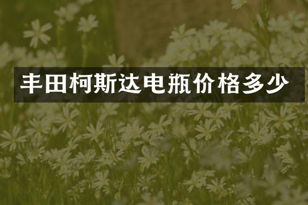 丰田柯斯达电瓶价格多少