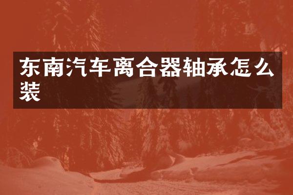 东南汽车离合器轴承怎么装