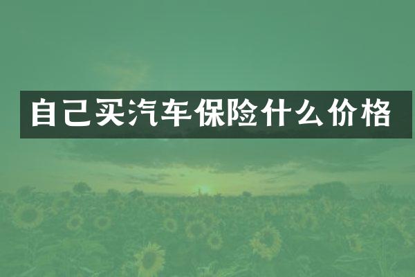 自己买汽车保险什么价格
