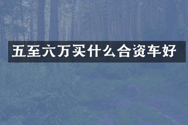 五至六万合资车好