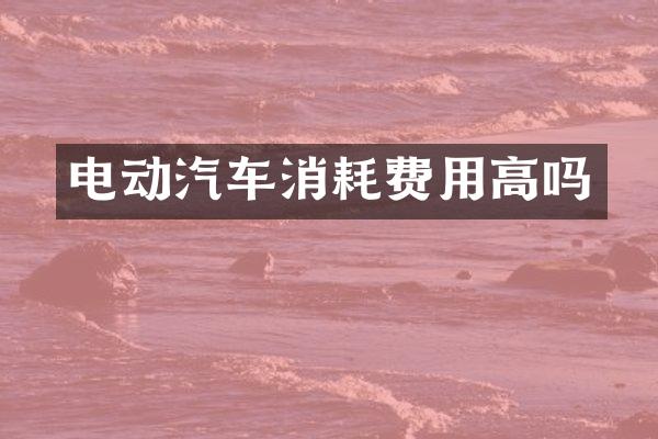 电动汽车消耗费用高吗