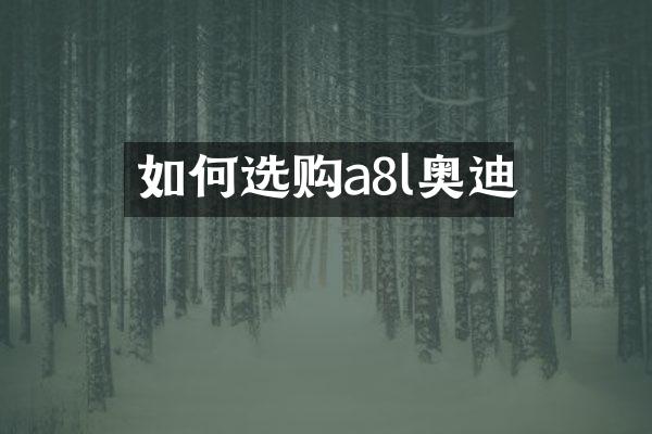 如何选购a8l奥迪