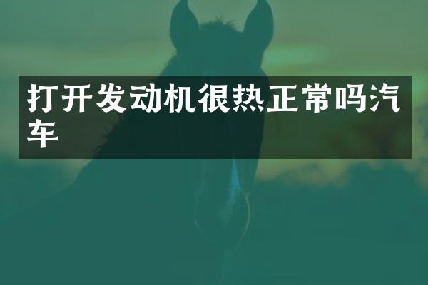 打开发动机很热正常吗汽车
