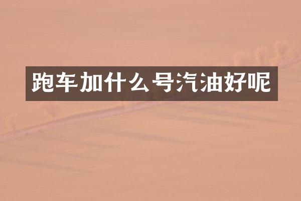 跑车加什么号汽油好呢